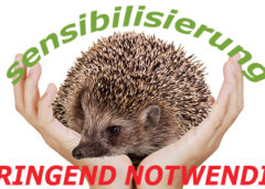 IGEL: Sensibilisierung dringend notwendig