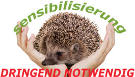 IGEL: Sensibilisierung dringend notwendig IGEL: Sensibilisierung dringend notwendig