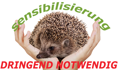 IGEL: Sensibilisierung dringend notwendig