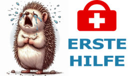 Erste Hilfe ! Erste Hilfe !