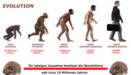 Tod nach 65 Millionen Jahren Tod nach 65 Millionen Jahren