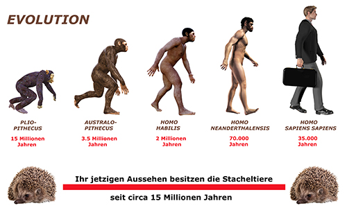 Tod nach 65 Millionen Jahren