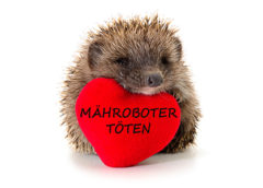 Mähroboter töten