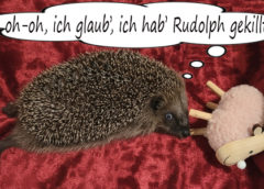 Die Igelchen sagen DANKE