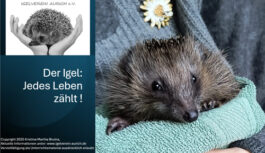 Das Igel 1×1 als Power Point Präsentation