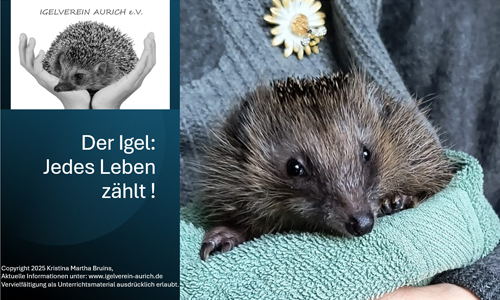Das Igel 1×1 als Power Point Präsentation